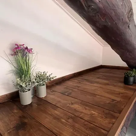 Casa Dar - In Centro *