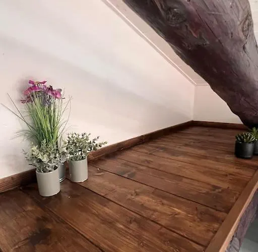 Casa Dar - In Centro *